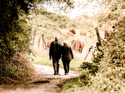 Ouder koppel op wandeling door het bos