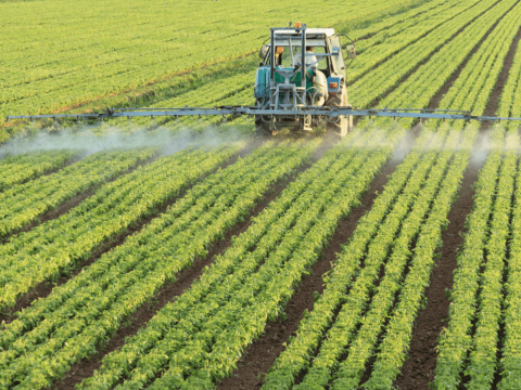 Tractor besproeit het veld